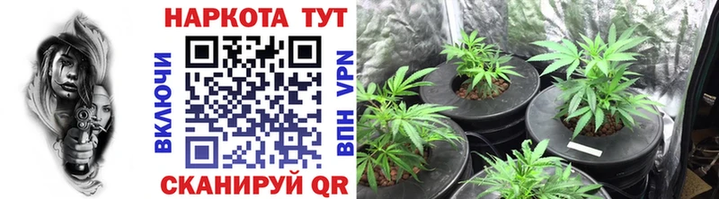 Где купить Покровск Бутират ГАШ Конопля blacksprut ссылки АМФЕТАМИН