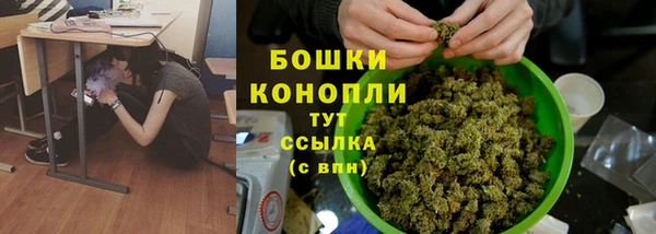 индика Михайловка