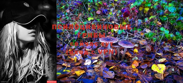 MESCALINE Михайлов