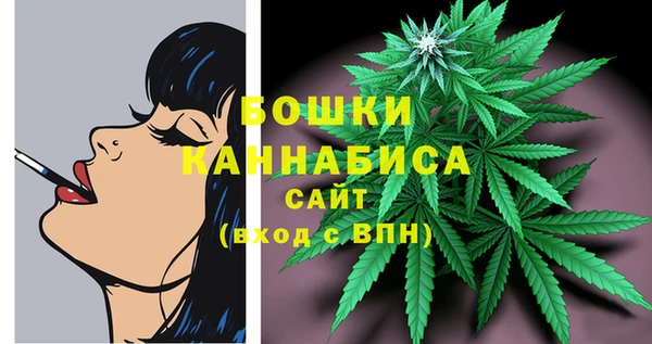стафф Богданович