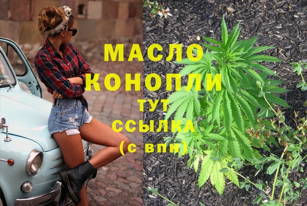 индика Михайловка