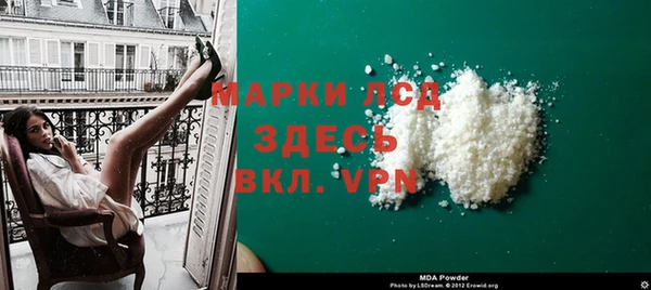 прущие грибы Пересвет
