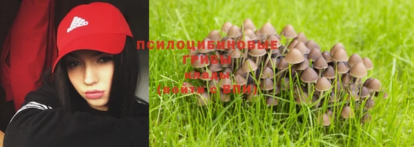индика Михайловка
